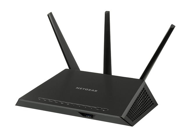 Netgear Router